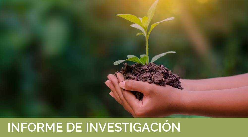 Consulta aquí el informe del FAIR Center y ProMujer