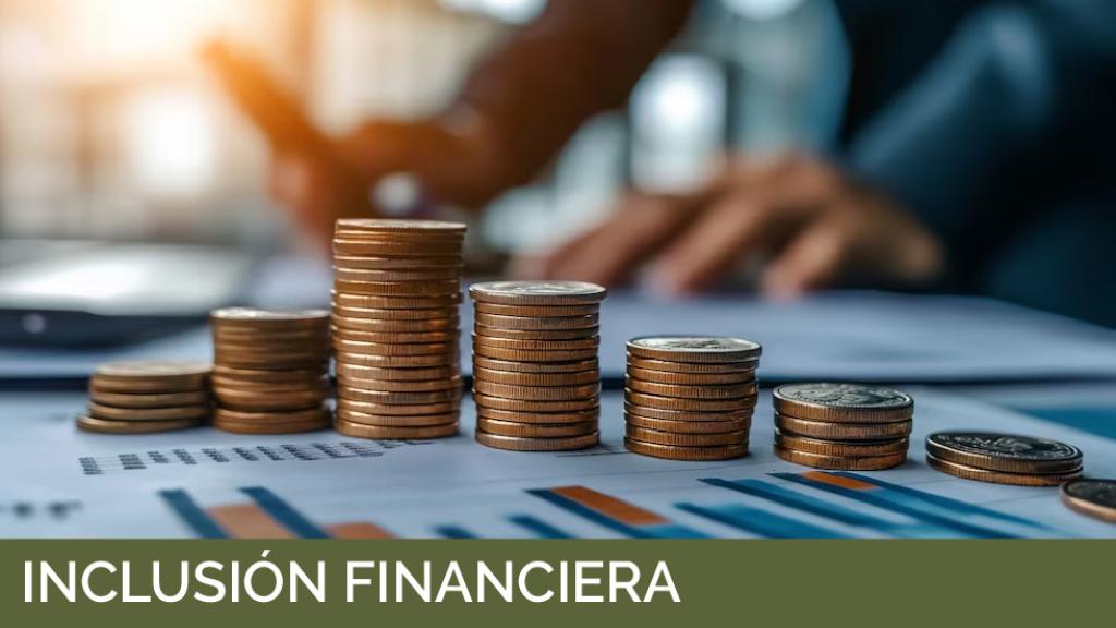 Finanzas inclusivas en las instituciones financieras mexicanas